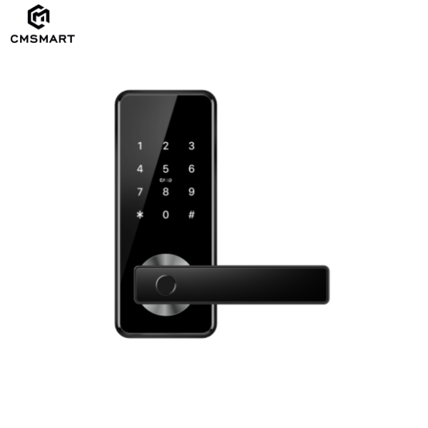 CM-H11 TTLock Home Security WiFi Biometric Fingerprint Alexa Smart Door Lock