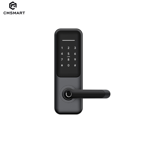 CM-H3 High Security Fingerprint TTlock BLE Digital Smart Door Lock For Home Airbnb Apartment Project